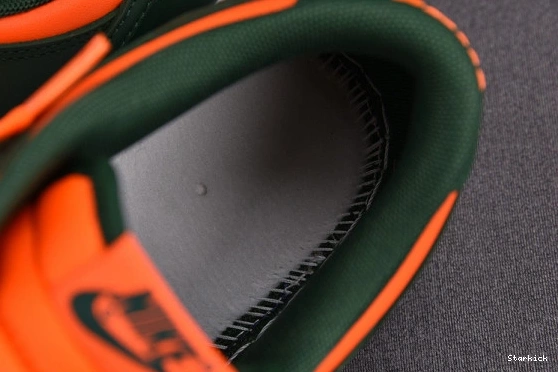 Nike Low DD1391-300 Dunk Hurricanes Miami 1027